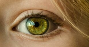 Distacco della retina: cos’è, le cause principali e come intervenire